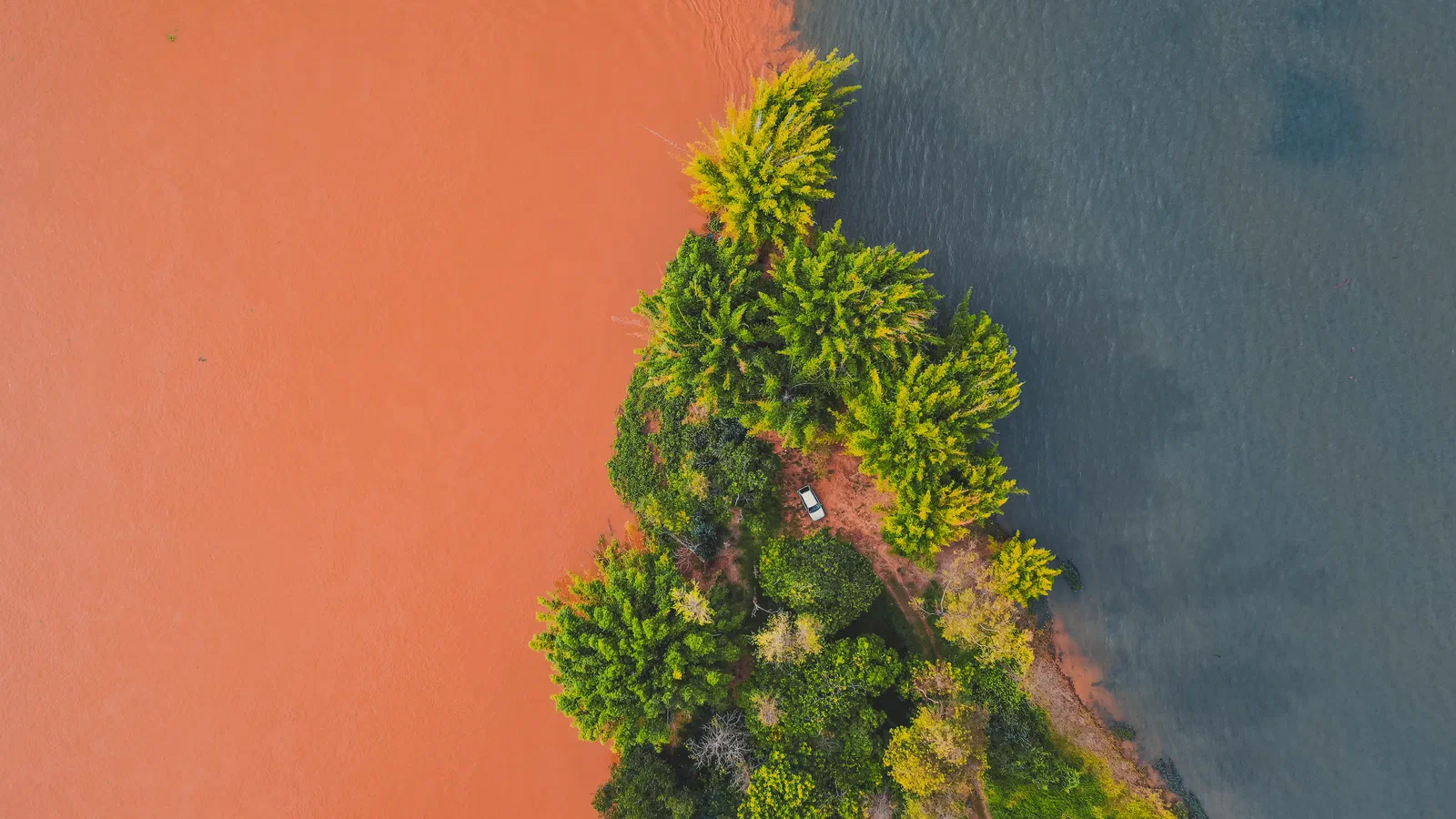 scenic meeting of waters of two colored rivers near lush green trees